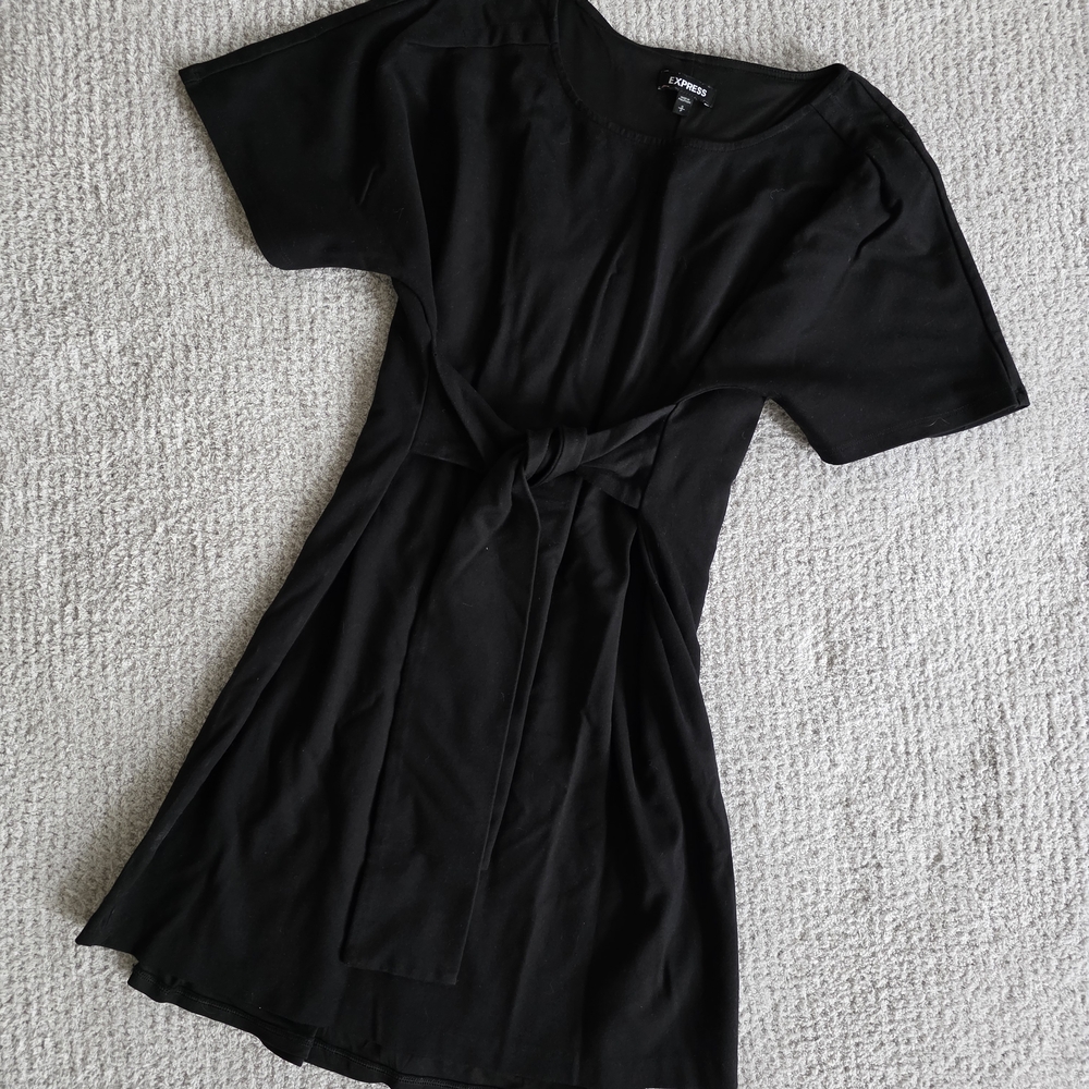 Express Tie Dress